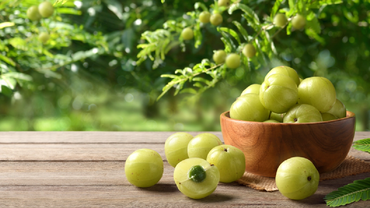Amla Powder Recipes: 7 Delicious Ways to Use It Daily