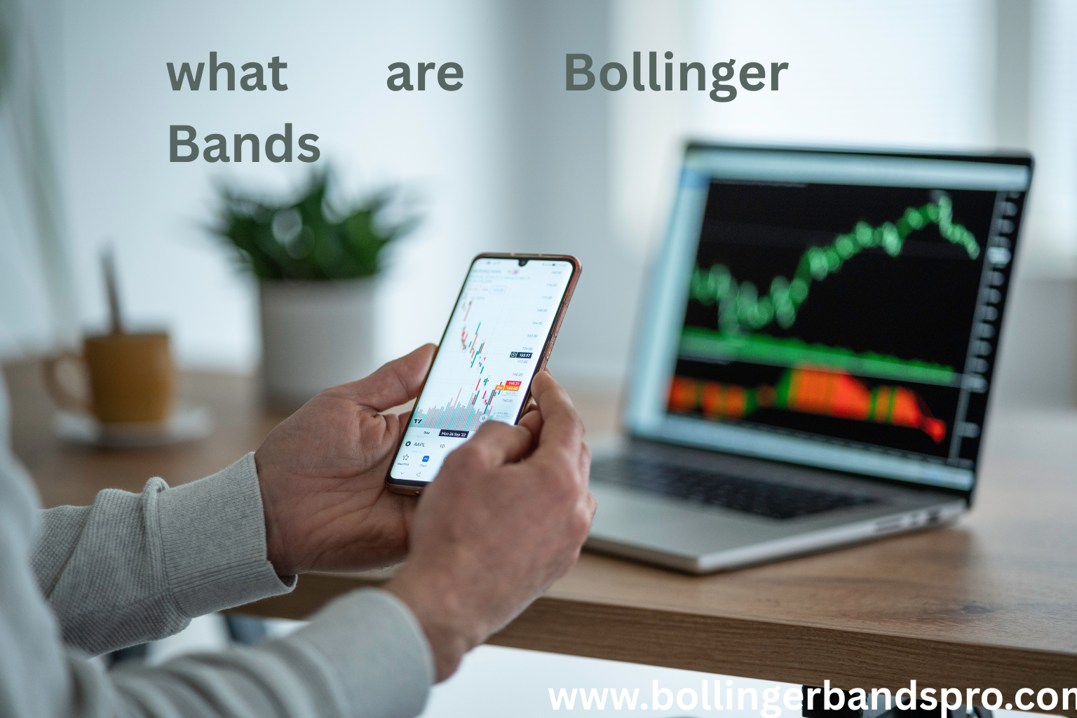 What Are Bollinger Bands? A Beginner’s Guide